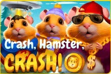 Crash, hamster, crash !